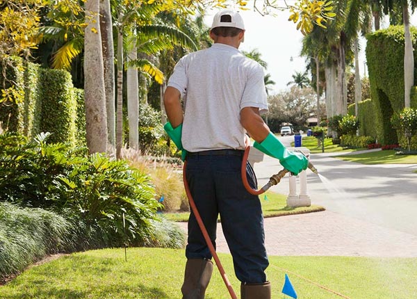 About White Cottage OH Pest Control